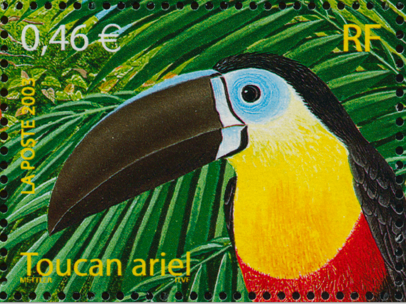 se rencontrer guyane