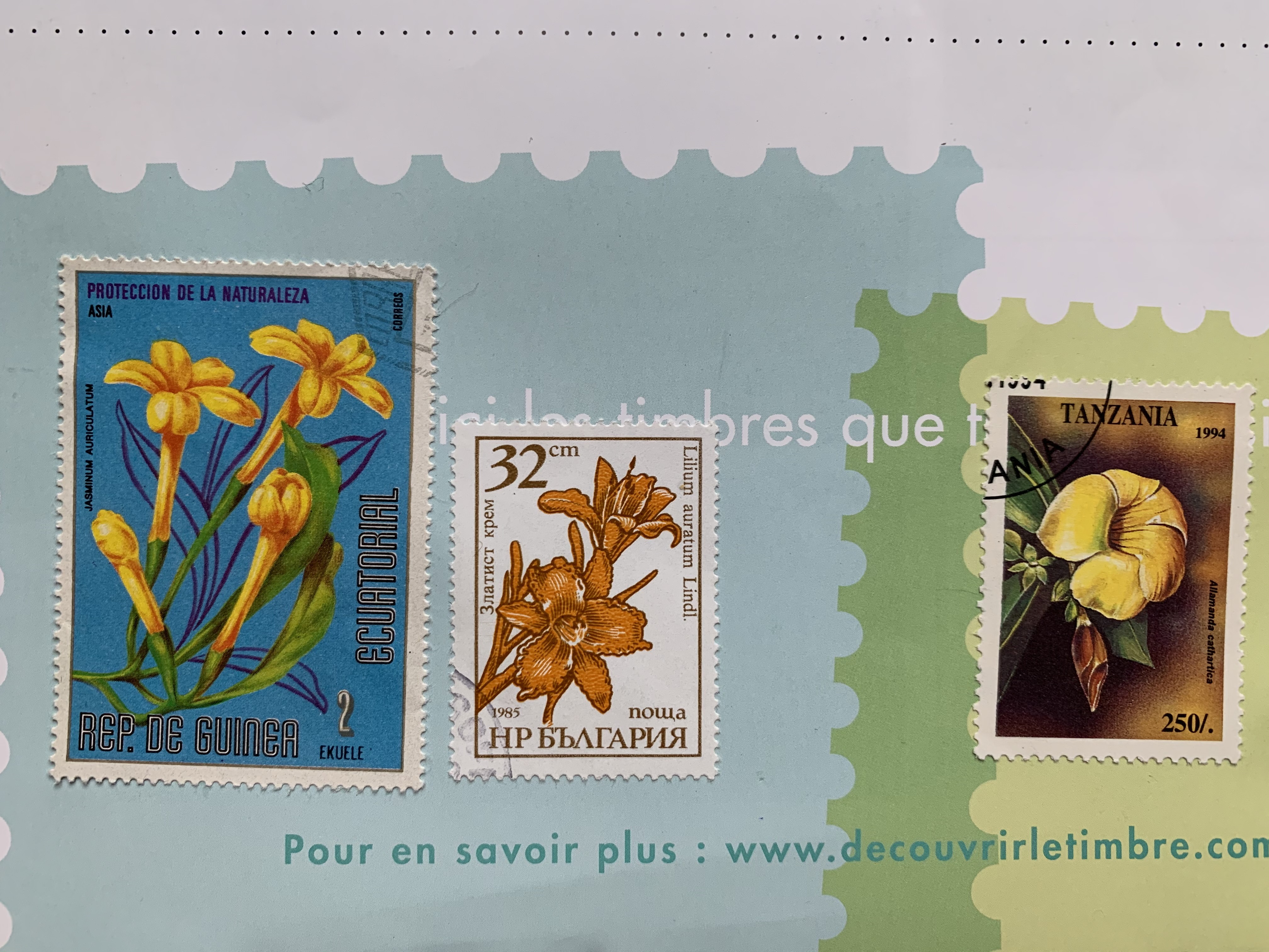 Que faire pour sauver les fleurs ? par Emmanuelle