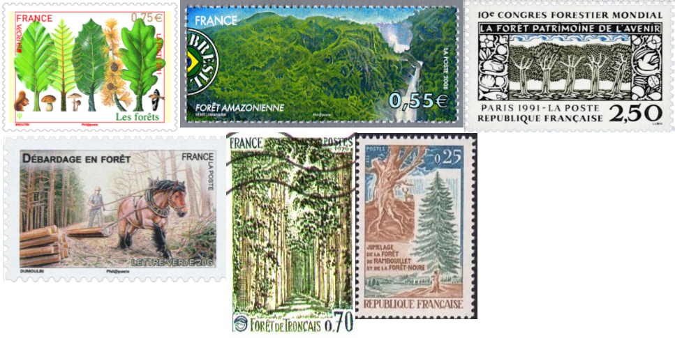 Les timbres de la forêt
