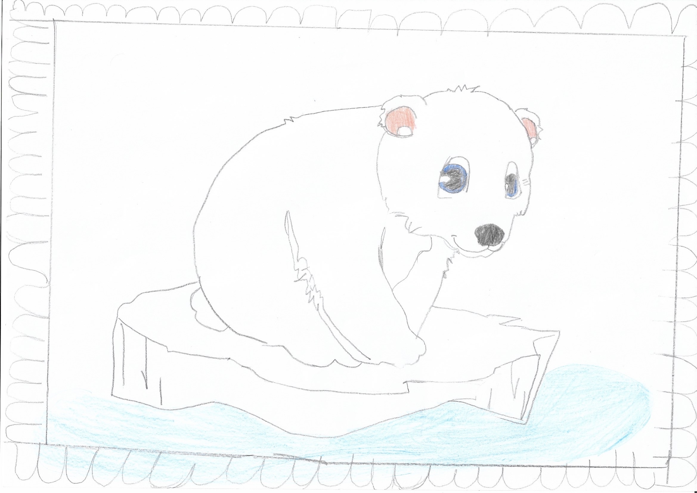 Les ours polaires