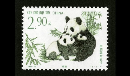  Les pandas géants