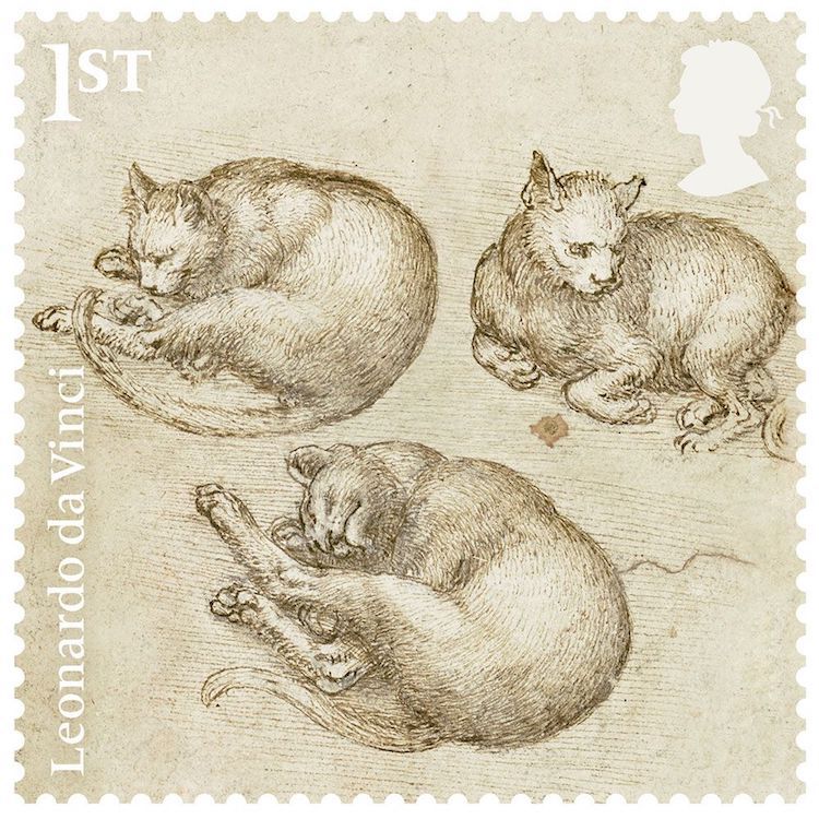 Chats De Leonard De Vinci Adphile Chats De Leonard De Vinci Adphile