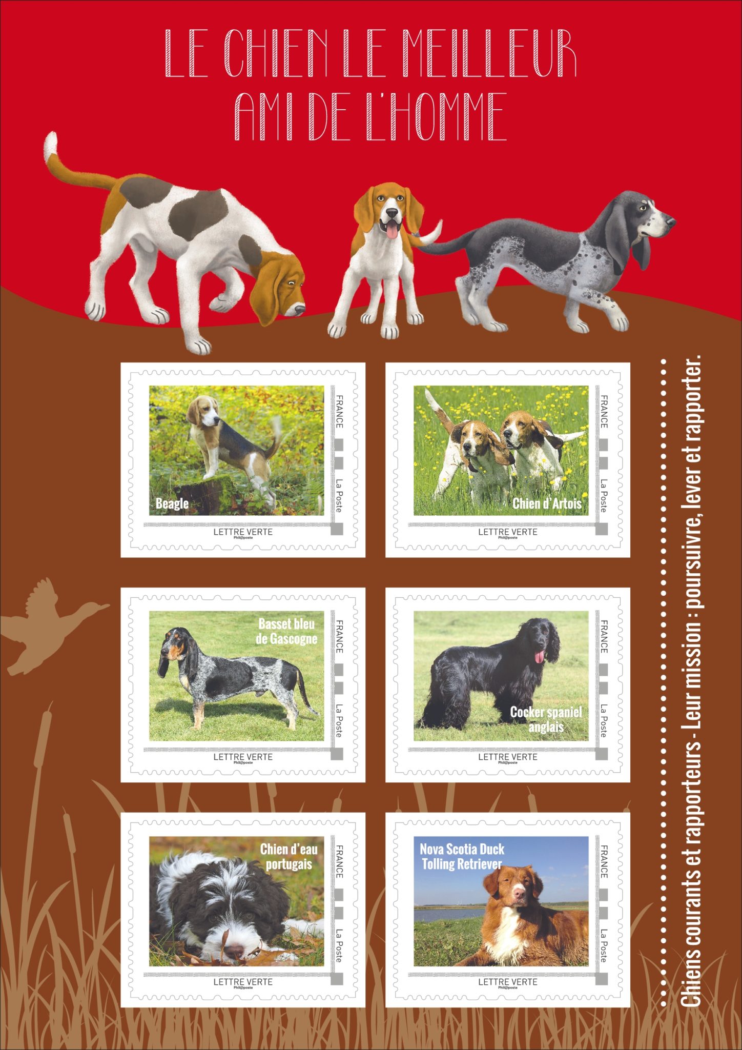 50 Timbres Collection Sur Le Thème Des Chats Et Grands Félins (lions, Tigres, Léopards...) - Divers Motifs
