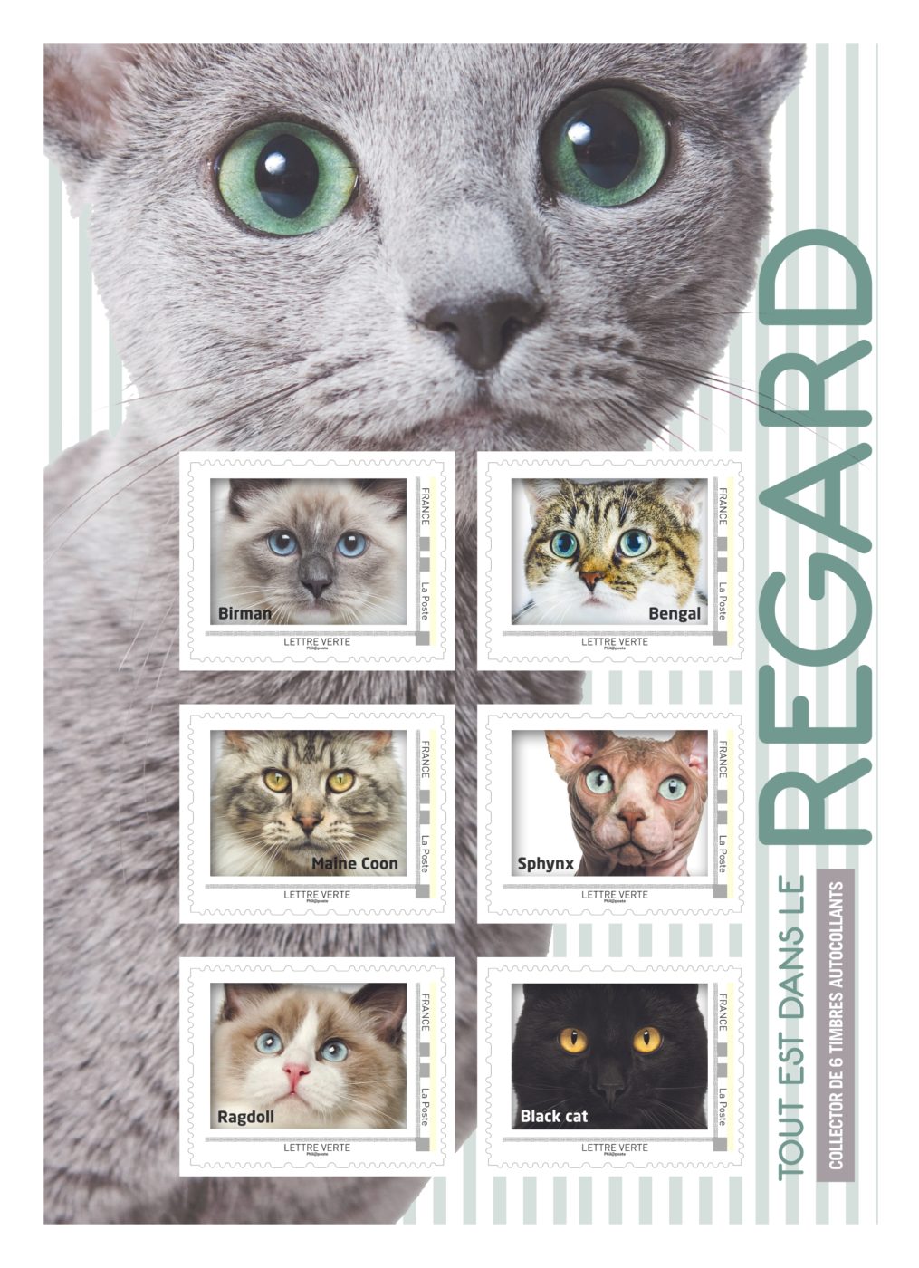 2020 Comment Le Chat A Conquis Le Monde 2020 Comment Le Chat A Conquis Le Monde
